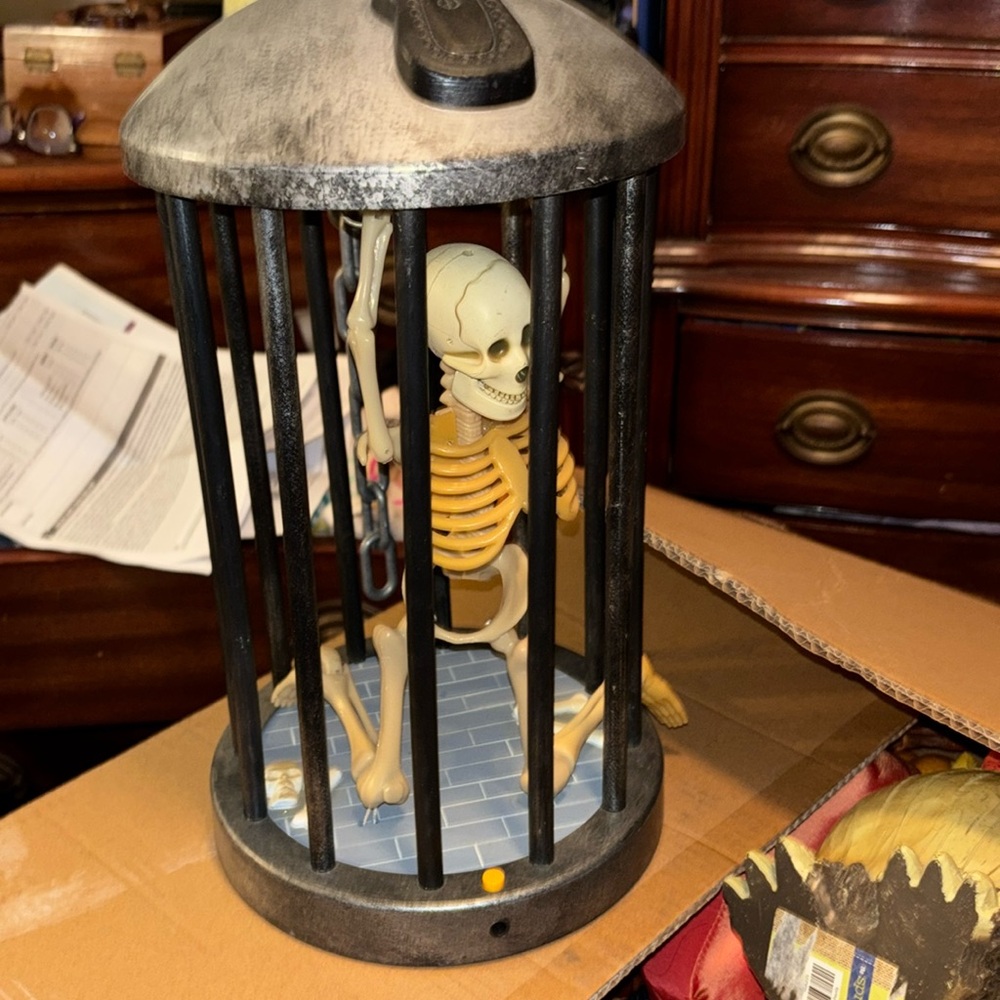 Halloween case skeleton